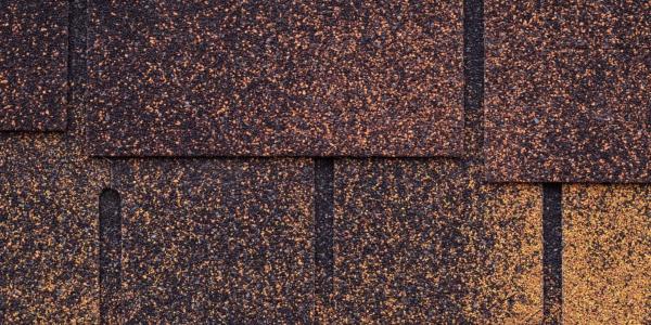 Guardian Asphalt Shingle