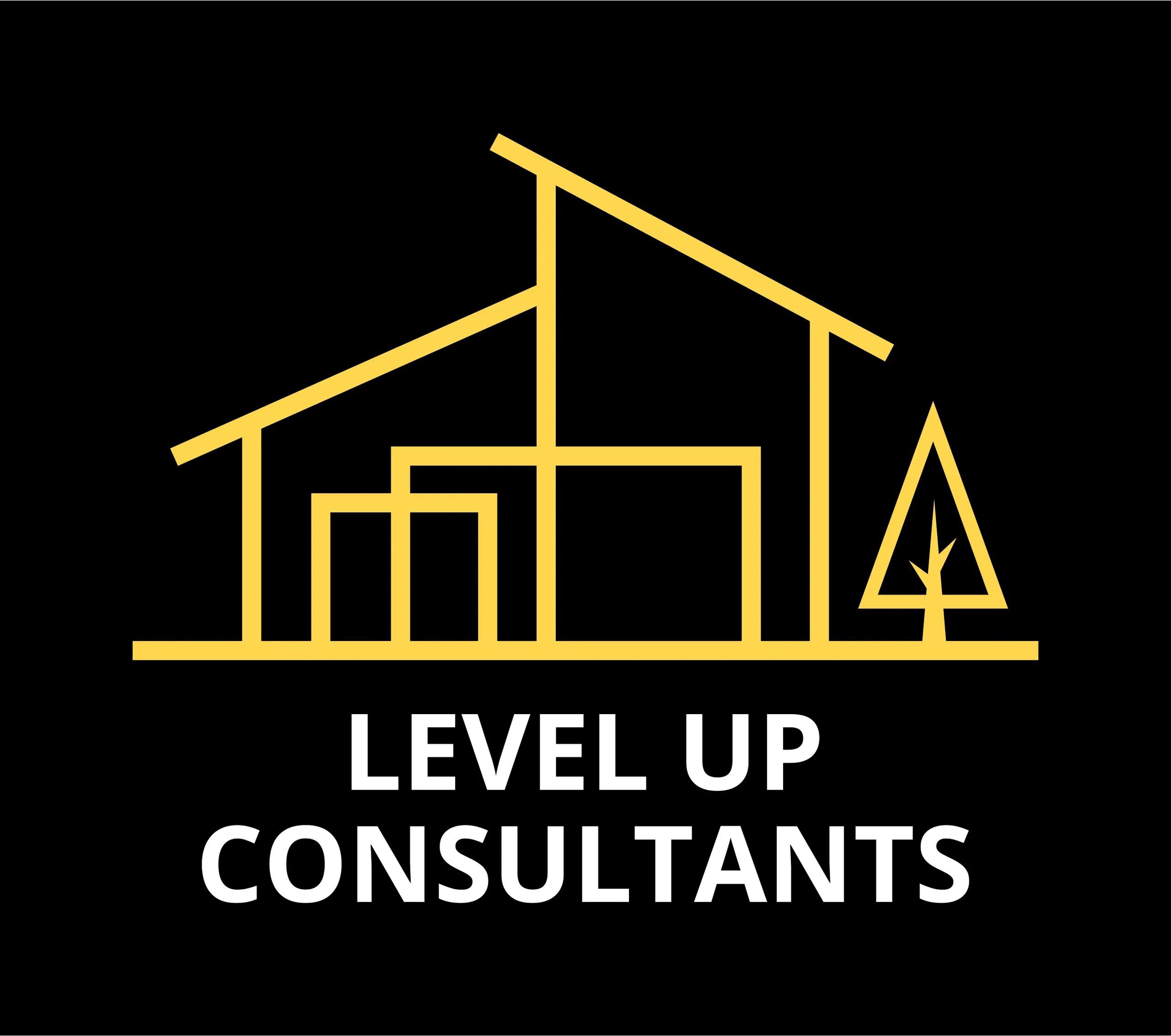 Level Up Consultants - Logo