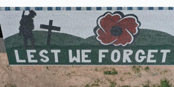 Creative roofer pays homage to Veterans with striking shingle artwork