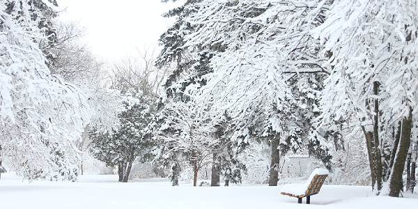 Eagle Concrete tile that handles everything from freezing temperatures to tropical heat