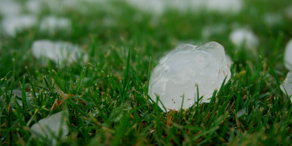 Westlake Royal protecting hail alley