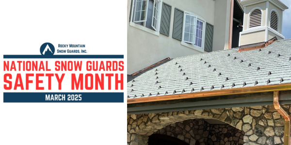 National Snow Guards Safety Month continues through March - 600x300